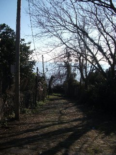 rtezza del Tocco-Chiazzette 20100124 001